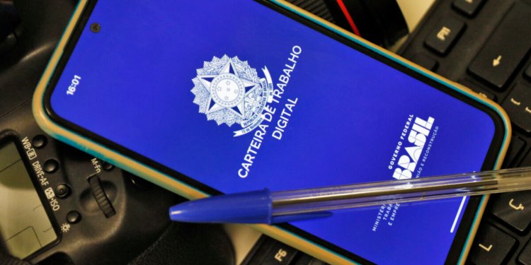 Onze estados brasileiros registram taxa de desemprego inferior à média nacional