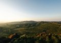 scenic vineyard landscape at sunset