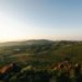 scenic vineyard landscape at sunset