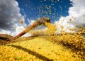 Produção brasileira de grãos deve atingir 360,8 milhões de toneladas na safra 2025/26