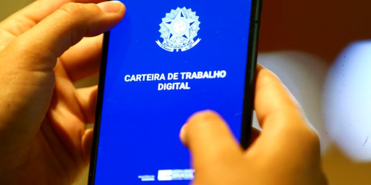 Taxa de desemprego atinge 5,3% e marca recorde positivo na série histórica iniciada em 2012