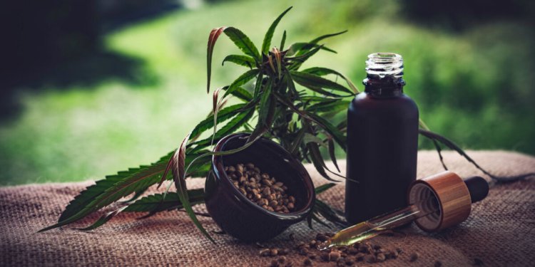 Cannabis medicinal no Brasil sofre com falhas e 80% dos pacientes perdem acesso a tratamento