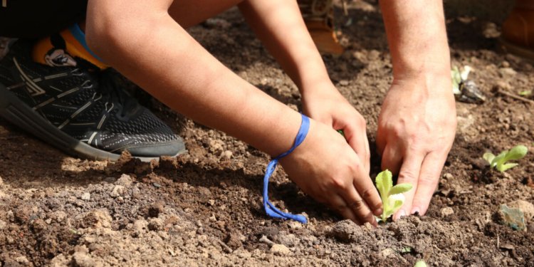 Entidades pressionam candidatos em São Paulo por compromissos com a agenda da agroecologia