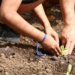 Entidades pressionam candidatos em São Paulo por compromissos com a agenda da agroecologia