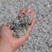 Política nacional de minerais críticos promete injetar R$ 7 bilhões no setor mineral brasileiro
