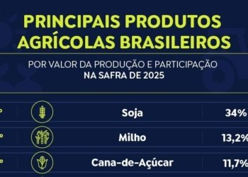 Safra recorde impulsiona valor da agricultura brasileira para R$ 927 bilhões em 2025