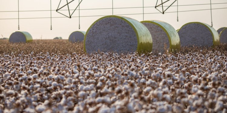 Sapezal desiste de Sorriso e assume a liderança do agro brasileiro em 2025