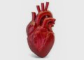 Doença cardiovascular mata uma pessoa a cada 72 segundos no país