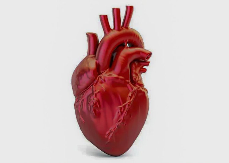 Doença cardiovascular mata uma pessoa a cada 72 segundos no país