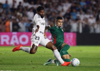 Flamengo agradece empate entre Santos e Palmeiras na abertura da 33ª rodada