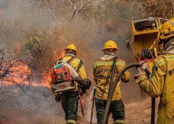 Força-tarefa federal e apoio de São Paulo reforçam combate a incêndios no Amazonas