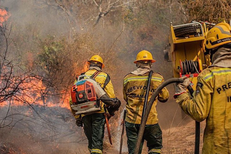 Força-tarefa federal e apoio de São Paulo reforçam combate a incêndios no Amazonas