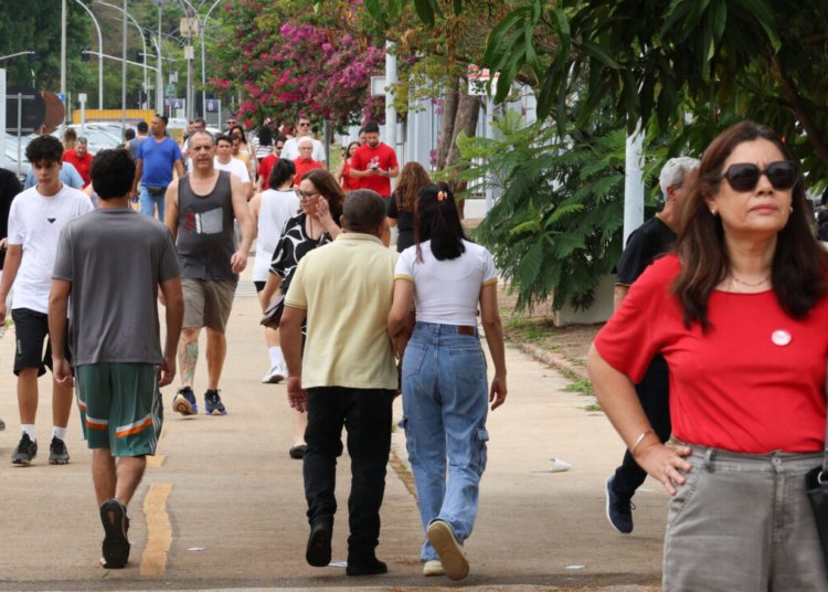 Mulheres são as maiores vítimas da alta violência política no Brasil
