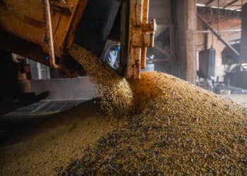Produção de grãos no Brasil projeta alta para a safra 2026/2027 apesar do El Niño